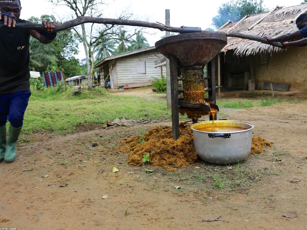 សកម្មភាពស្វែងរកប្រាក់ចូល