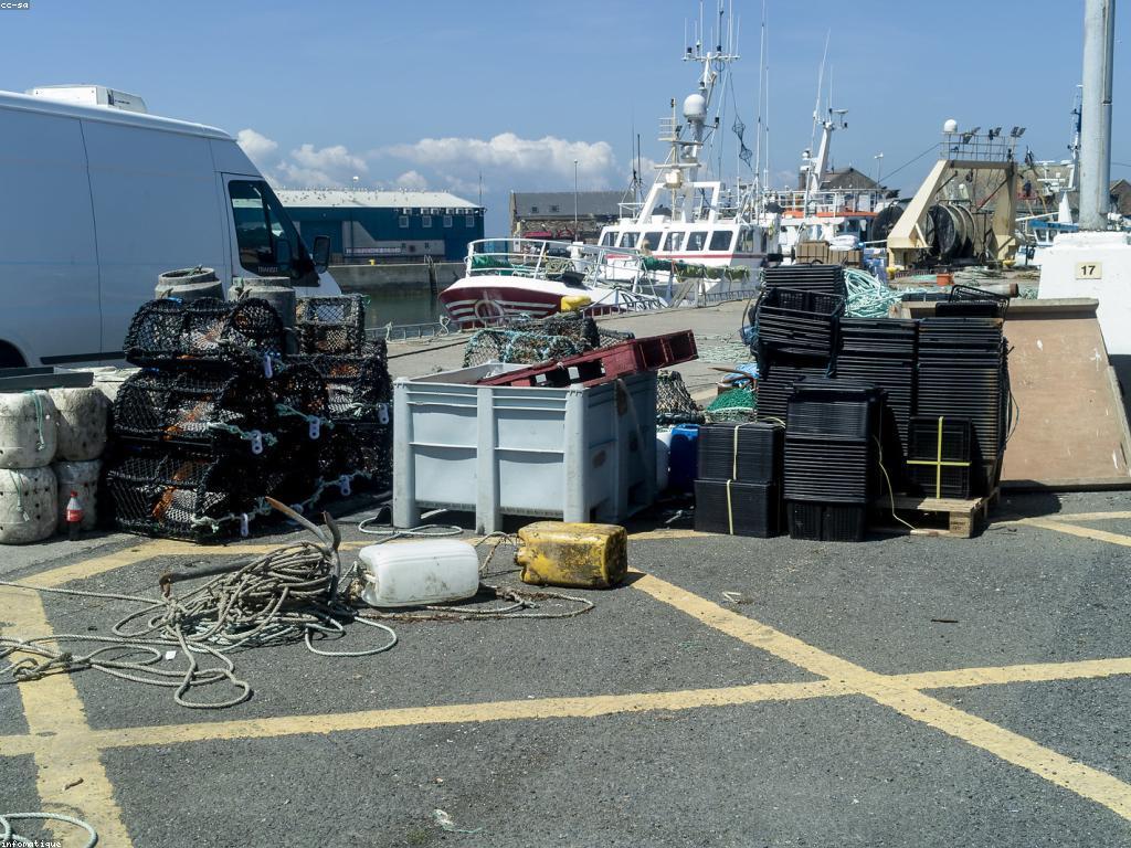 ឧបករណ៍បាញ់តិច: ការទទួលបានជោគជ័យក្នុងការបាញ់តិច