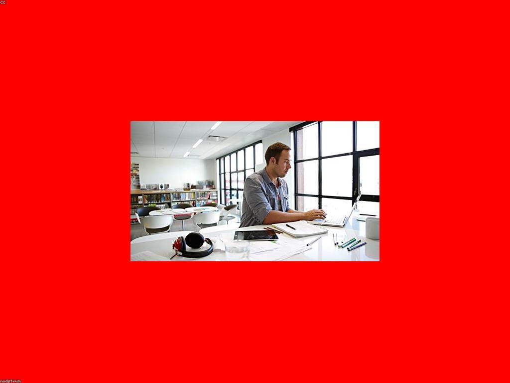 សកម្មភាពស្វែងរកប្រាក់ចូល